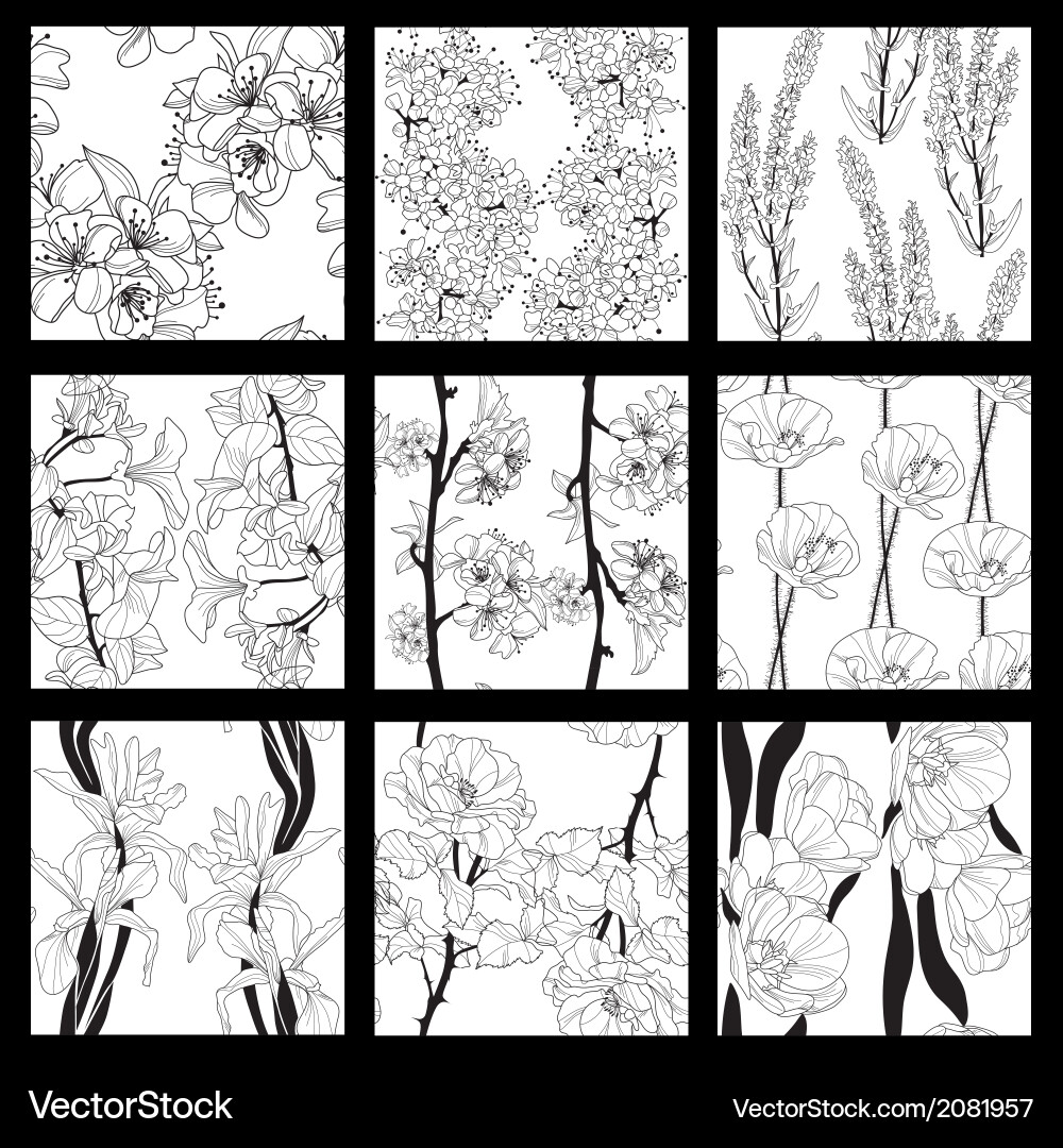 Seamless patterns set vector image