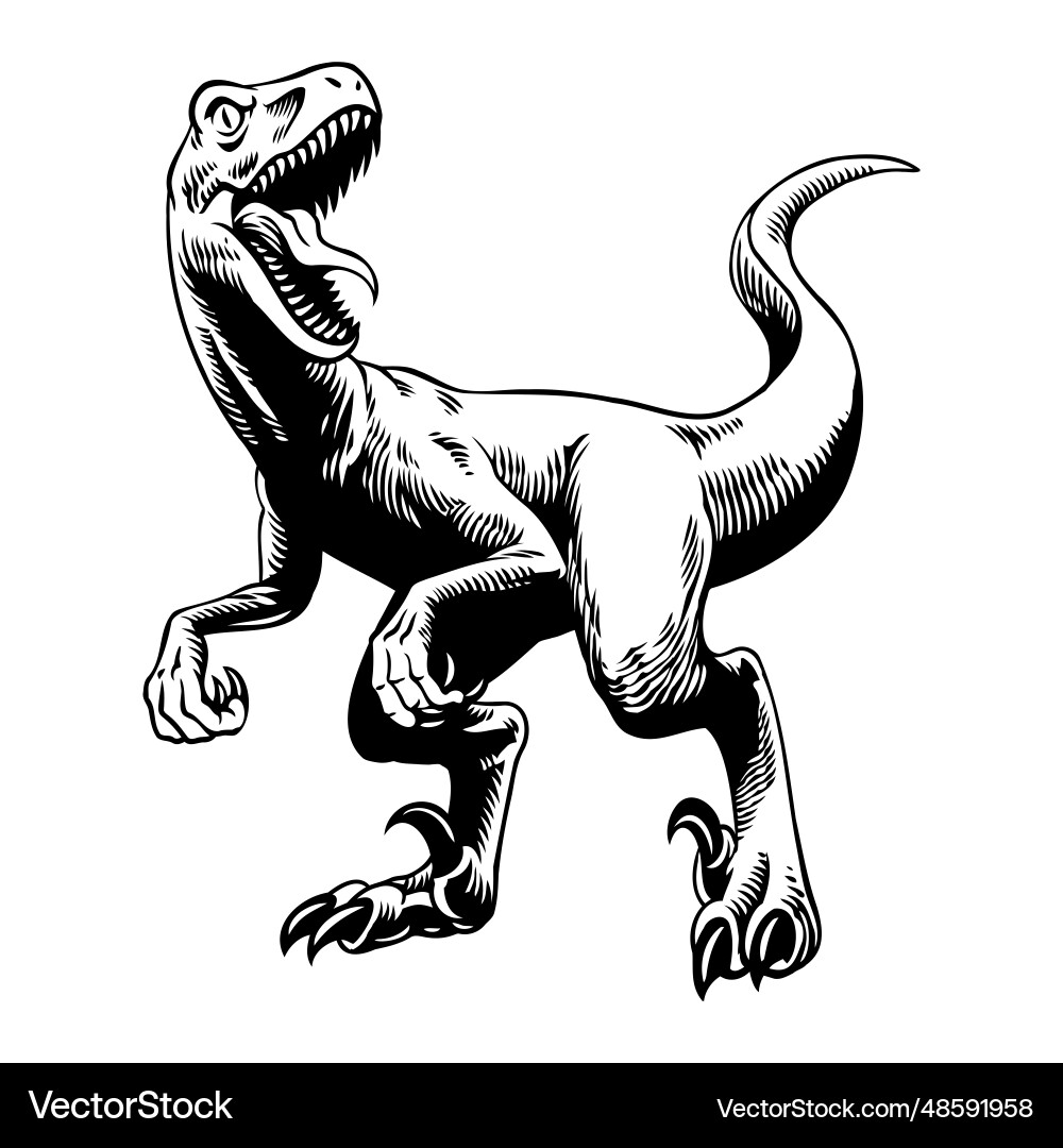 Raptor roar Vector Images \u0026 Graphics for Commercial Use | VectorStock, image size:1000x1080