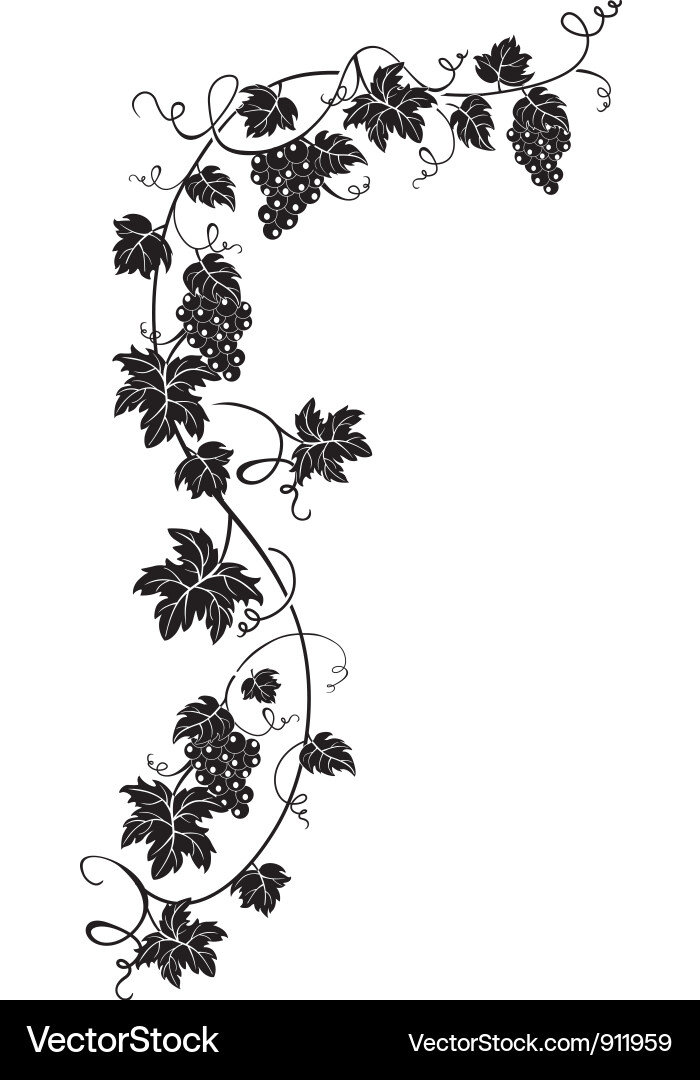 Grape Vine Silhouette Vector Image