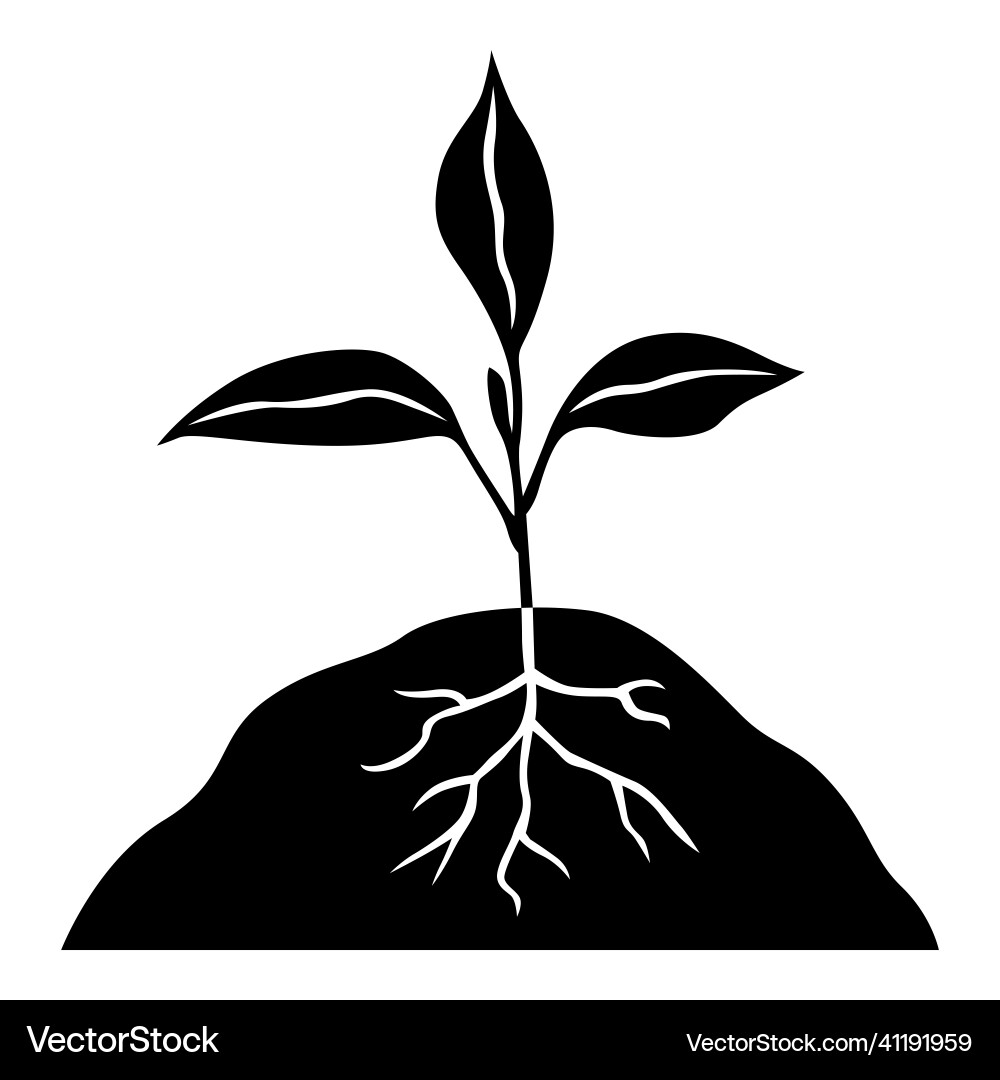 Icon of a sprout with roots Vector Image