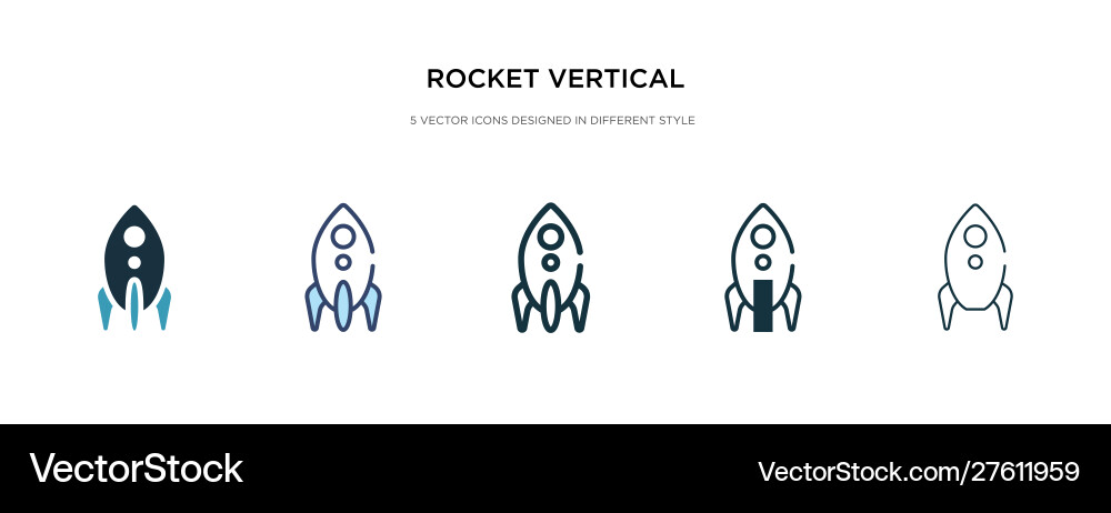 Rocket vertical position icon in different style vector image