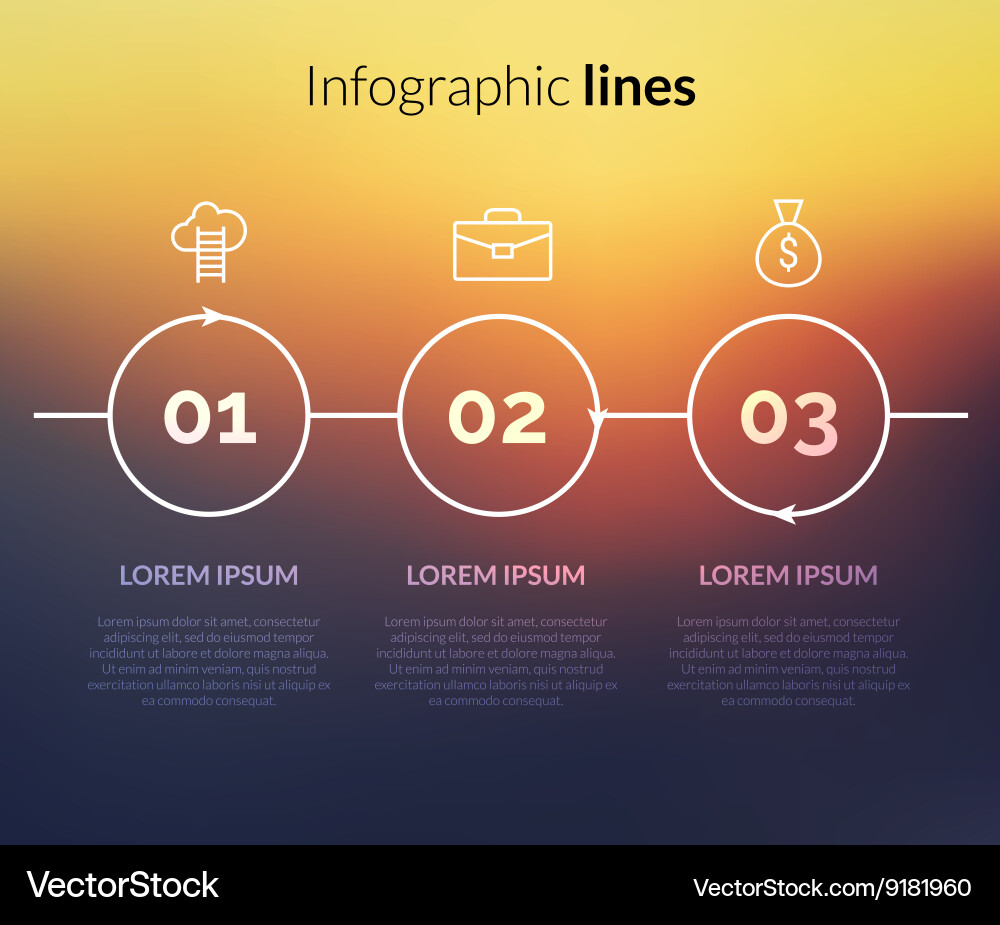 3 Steps Infographic with Circular Pointers vector image