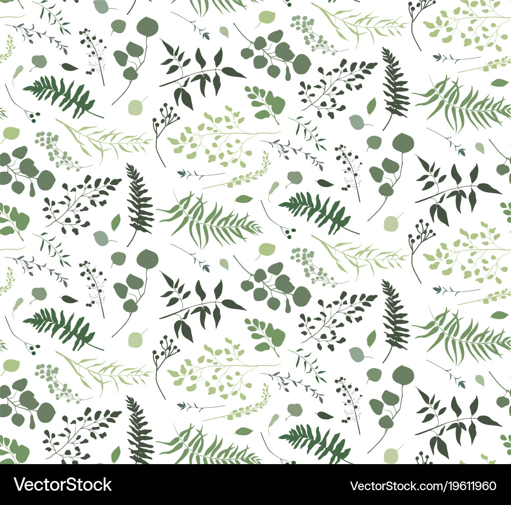 Eucalyptus Fern Pattern vector image