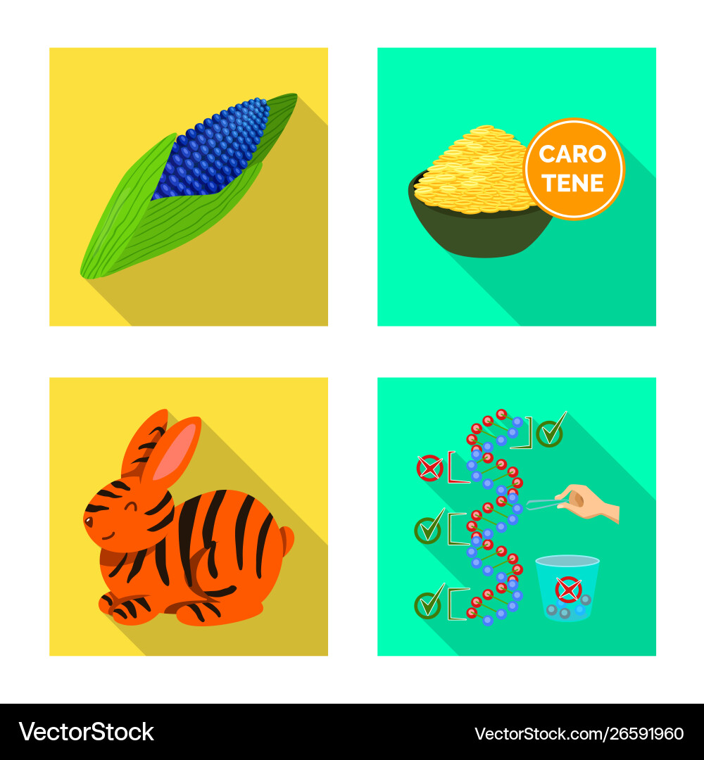 Isolated object test and synthetic logo Vector Image