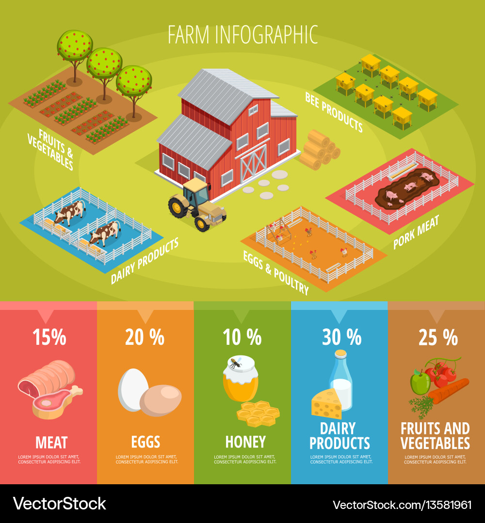 Farm Food Isometric Infographics Vector Image