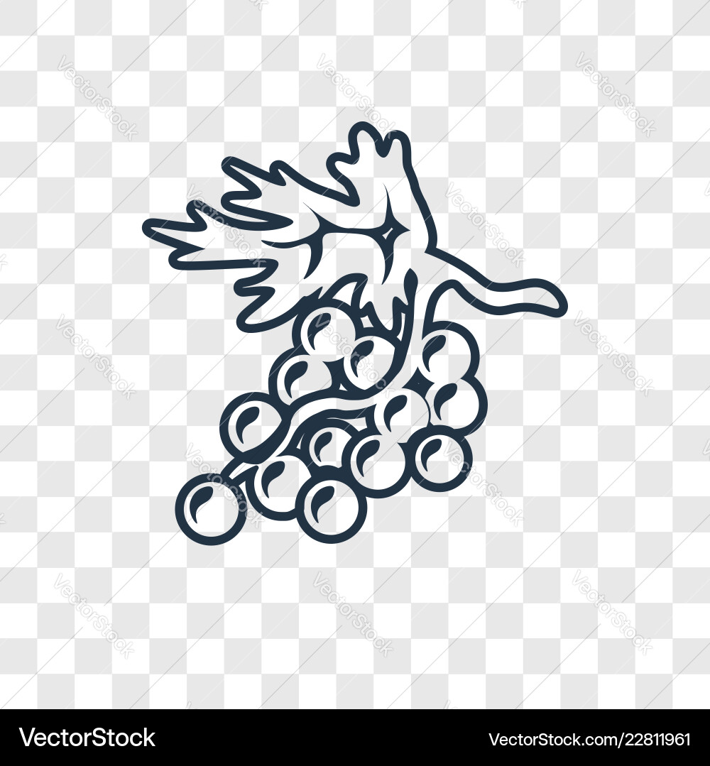 Grape concept linear icon isolated on transparent vector image
