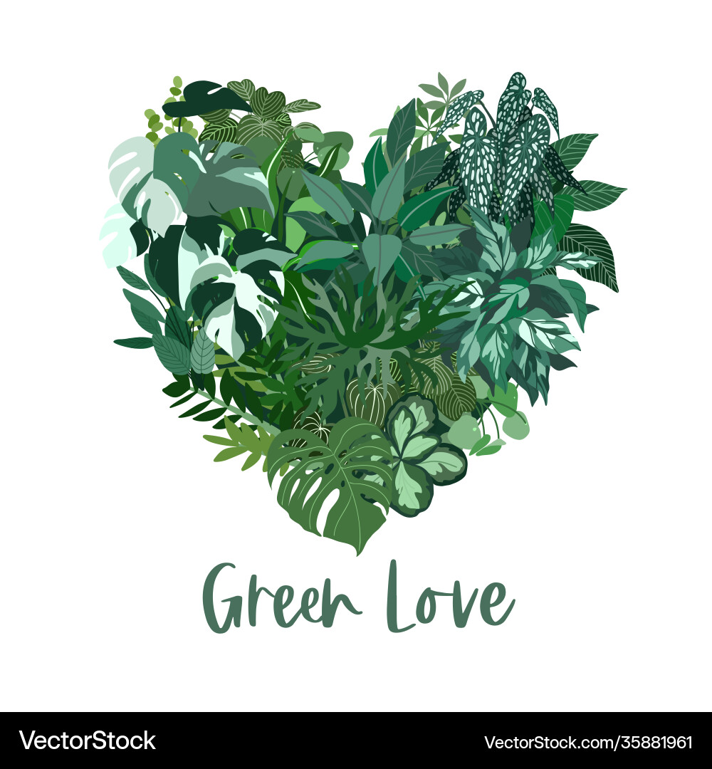 Heart shape made tropical plants leaves vector image