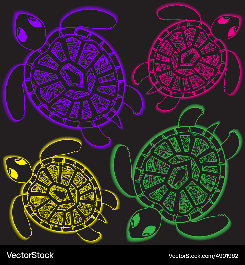 Seamless pattern with turtles can vector image