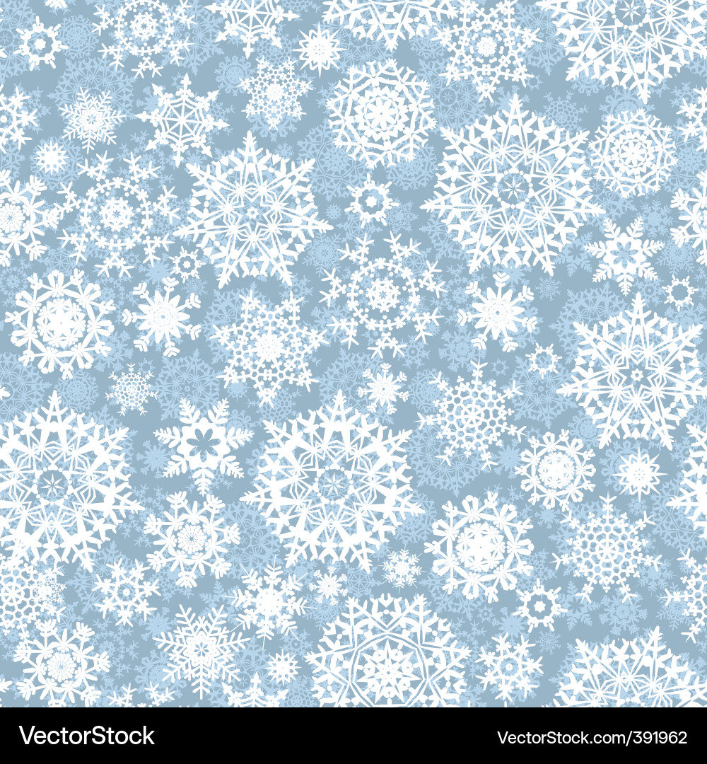 Winter Snowflake Pattern vector image