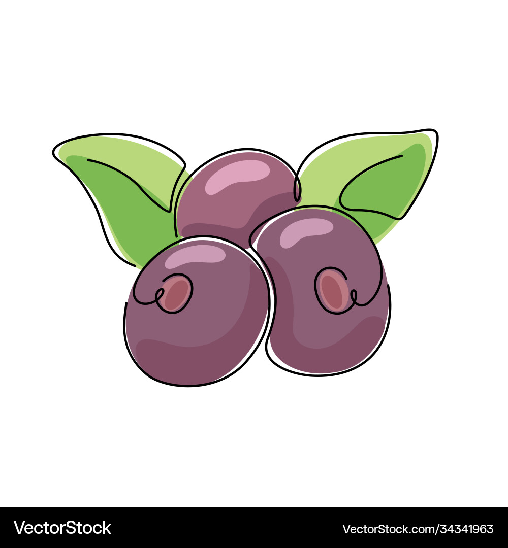 Acai color icon with one black continuous line Vector Image