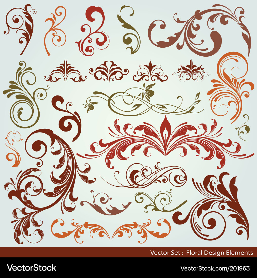 Floral design elements Royalty Free Vector Image