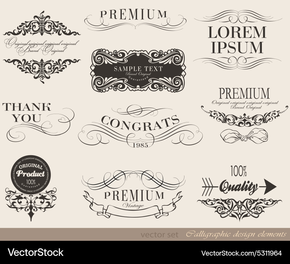 Calligraphic design elements Vector Image