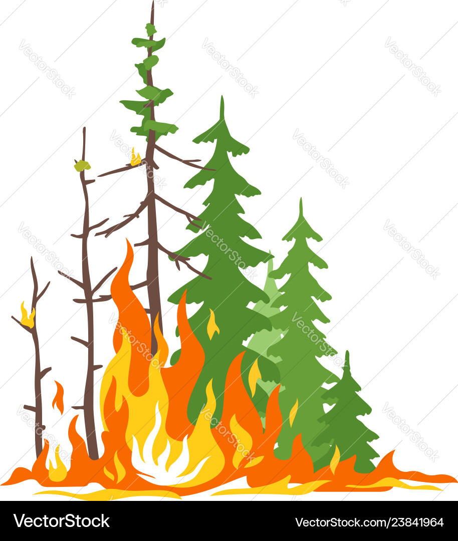 Forest Fire Disaster Royalty Free Vector Image