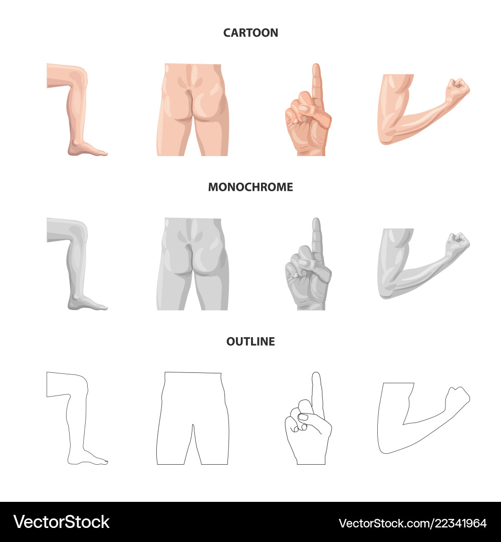 Isolated object of human and part icon set Isolated object of human and part icon set vector image