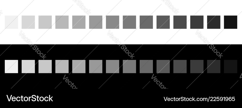 Grayscale Color Palette - Monochrome Gradient vector image