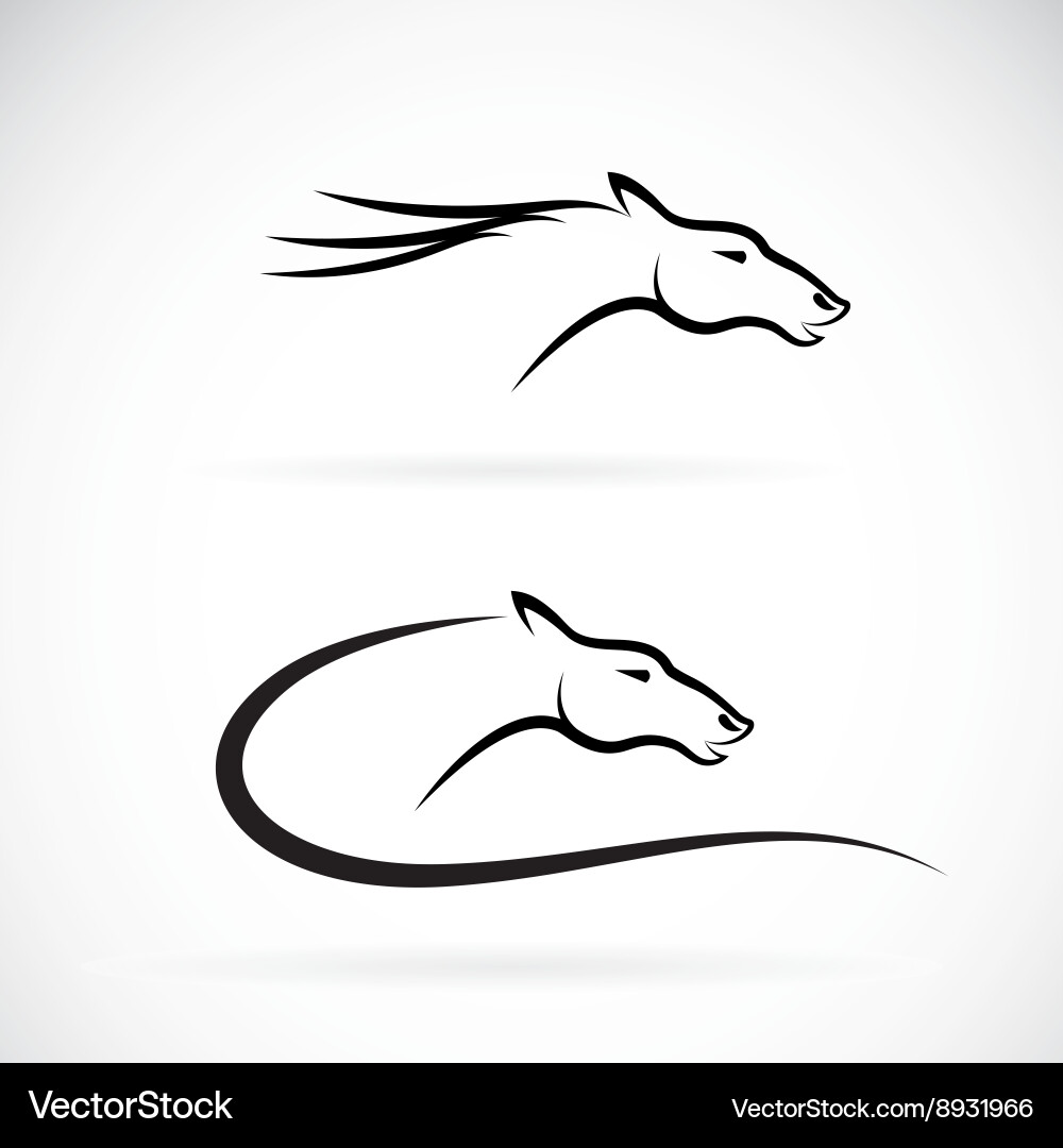 Horse Head Silhouettes vector image