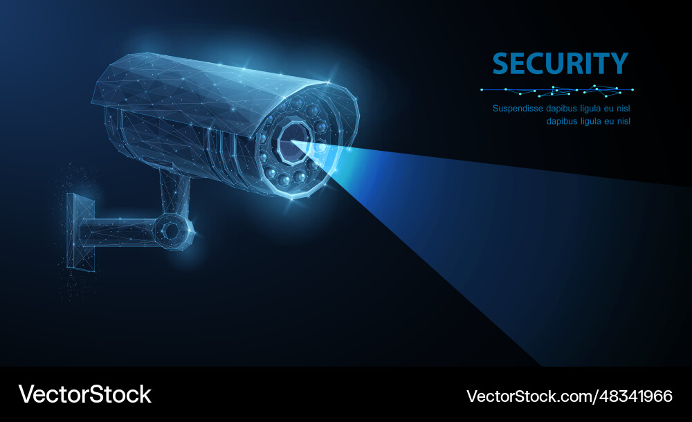 Security Camera on Low Pole Vector Image