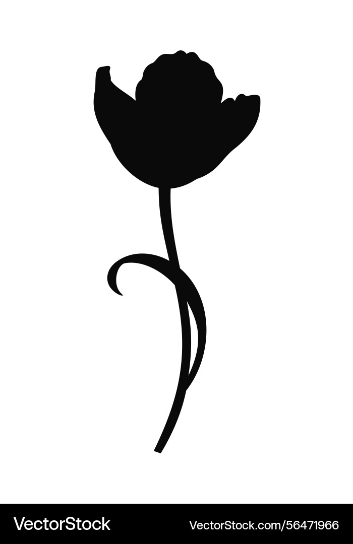 Tulip flower silhouette in black color for design Vector Image