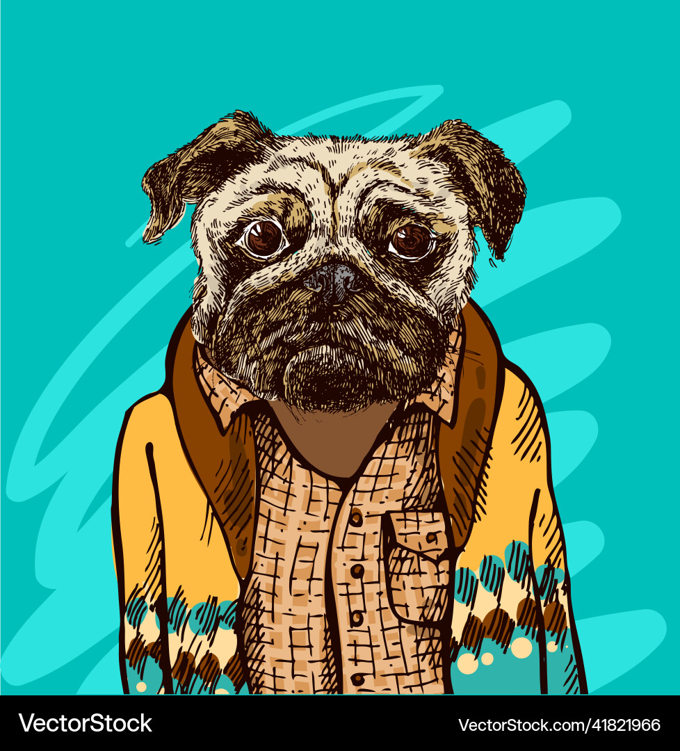 Web Web vector image