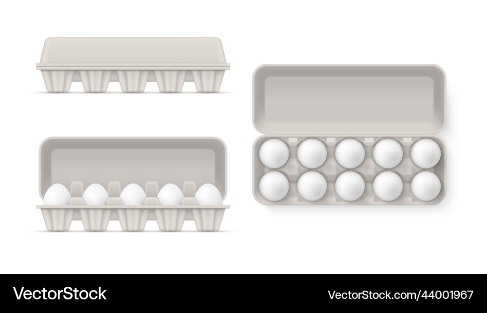 White chicken eggs in open and closed package side White chicken eggs in open and closed package side vector image
