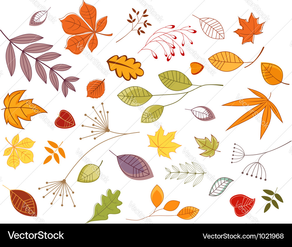Autumn Leaf Collection Vector Image