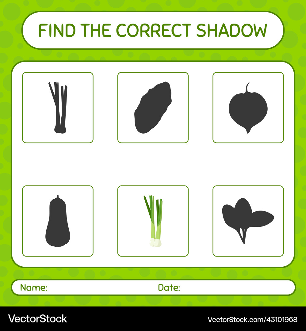 Find the correct shadows game with spring onion Find the correct shadows game with spring onion Vector Image