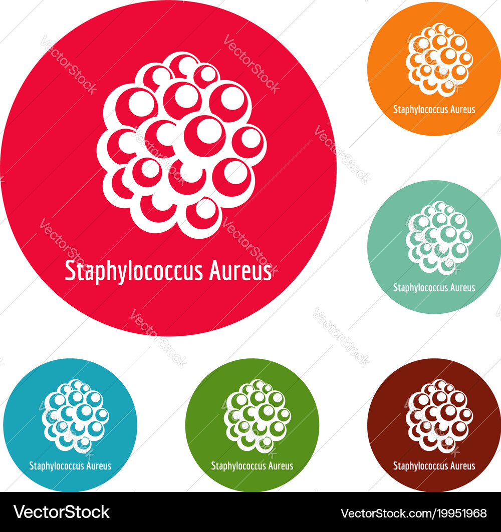 Staphylococcus aureus icons circle set Vector Image