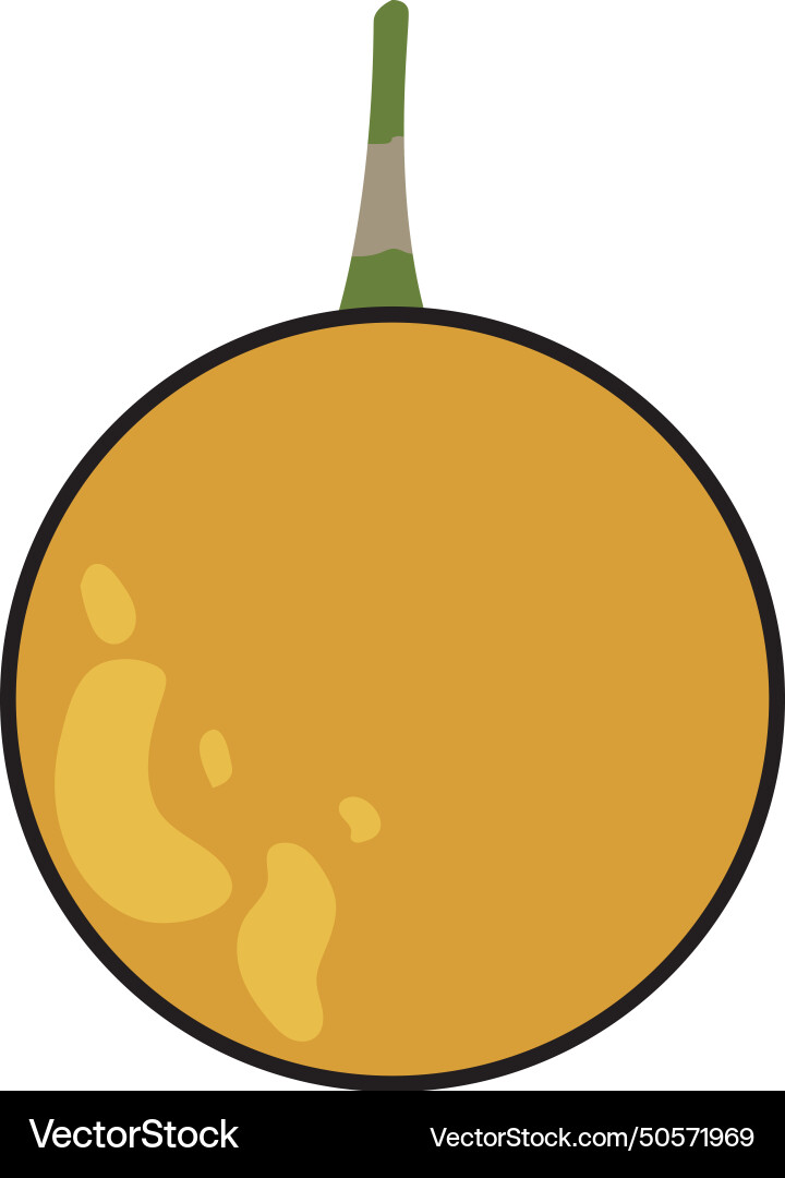 Colored passion fruit icon Royalty Free Vector Image