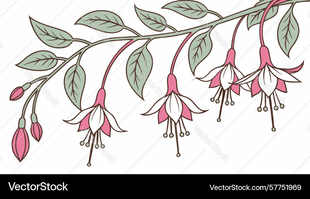 Decorative fuchsia branch design generative ai Vector Image