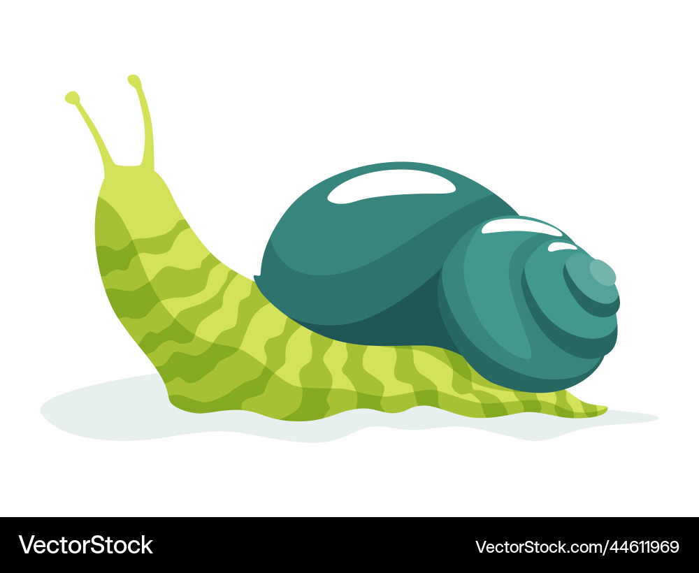 Snail crawling snailfish colour shell colourful Snail crawling snailfish colour shell colourful vector image