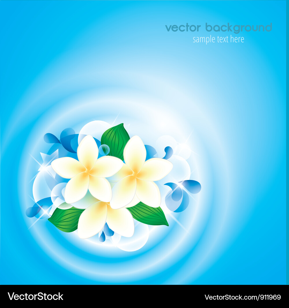 Whter Vector Water Royalty Free Vector Image - VectorStock