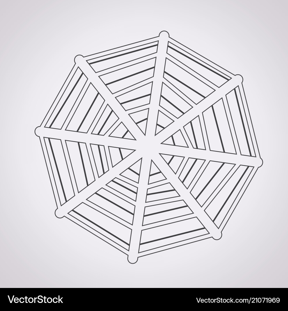 Web net spiderweb icon vector image