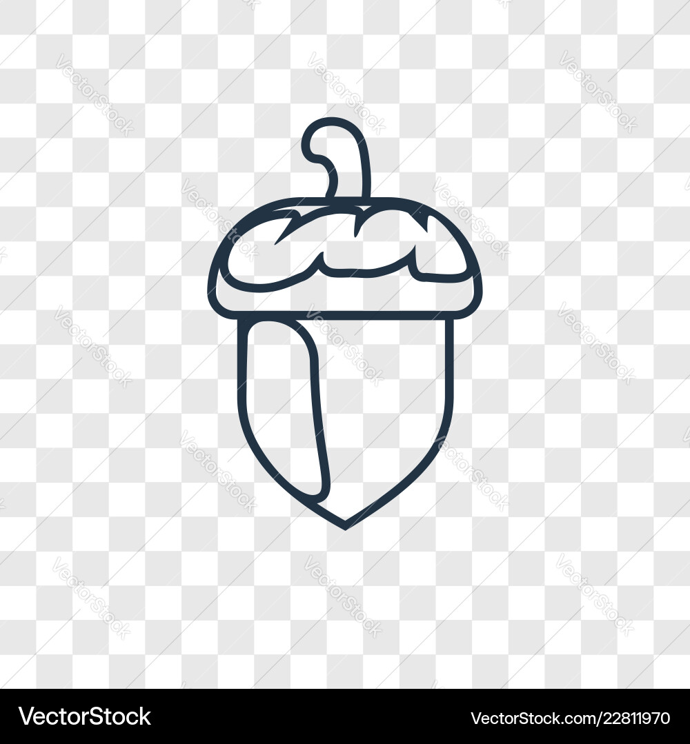 Acorn concept linear icon isolated on transparent Vector Image