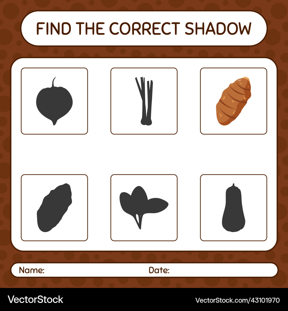 Find the correct shadows game with taro root Find the correct shadows game with taro root Vector Image