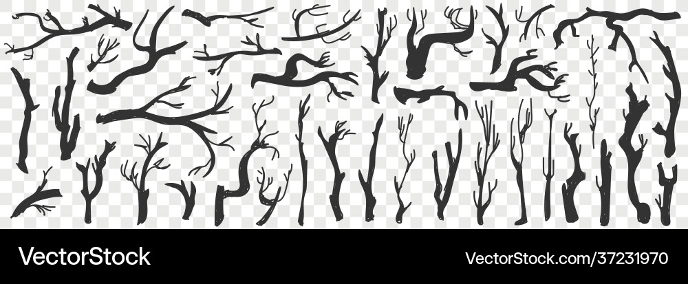 Tree branches pattern doodle set Vector Image