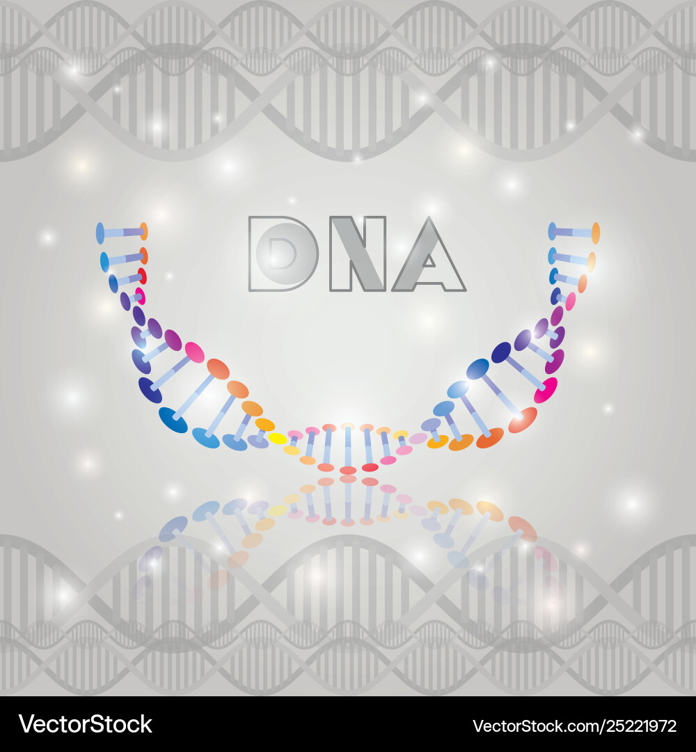 Dna molecule half circle structure pattern Vector Image