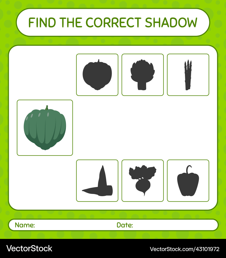 Find the correct shadows game with acorn squash Find the correct shadows game with acorn squash vector image