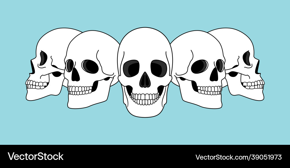 Skulls views funny horror spooky skull front