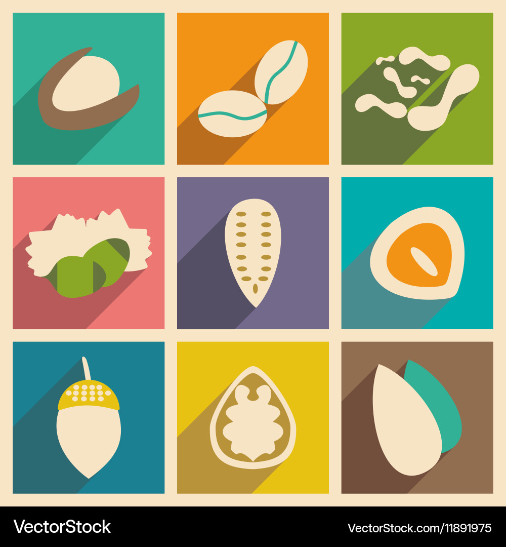 Flat with shadow concept and mobile application Vector Image