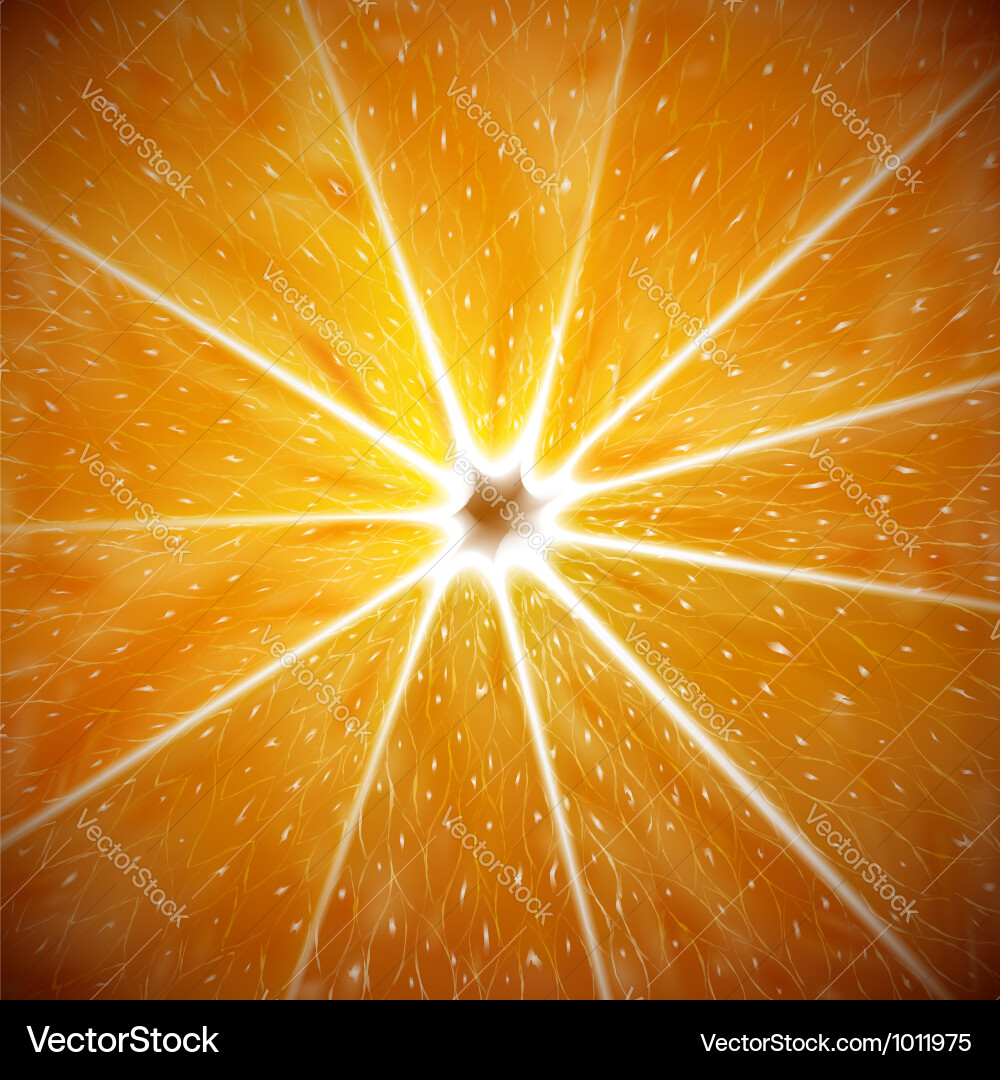 Orange background Royalty Free Vector Image - VectorStock