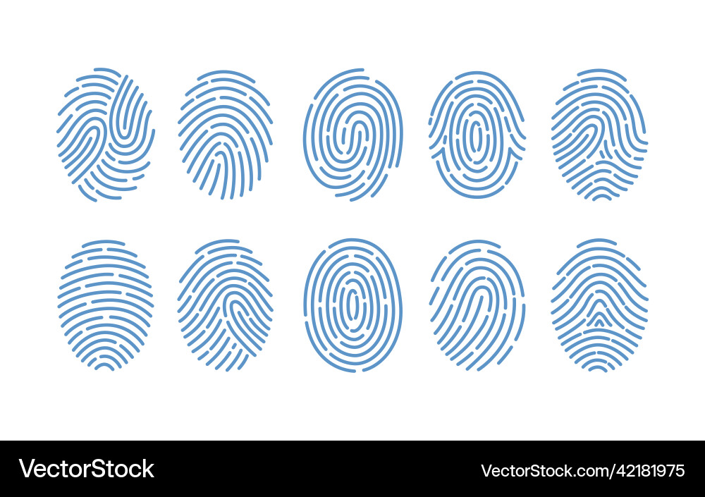 Set of fingerprints various types isolated Vector Image