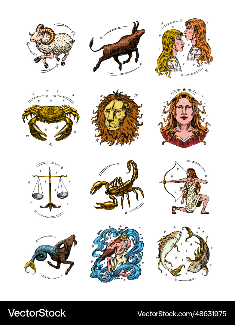 Zodiac constellation signs astrological symbols Zodiac constellation signs astrological symbols vector image
