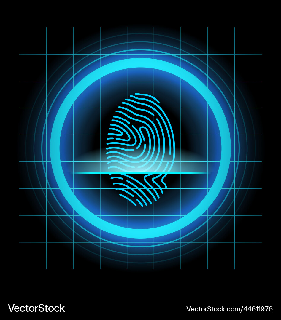 Fingerprint identification scan Vector Image