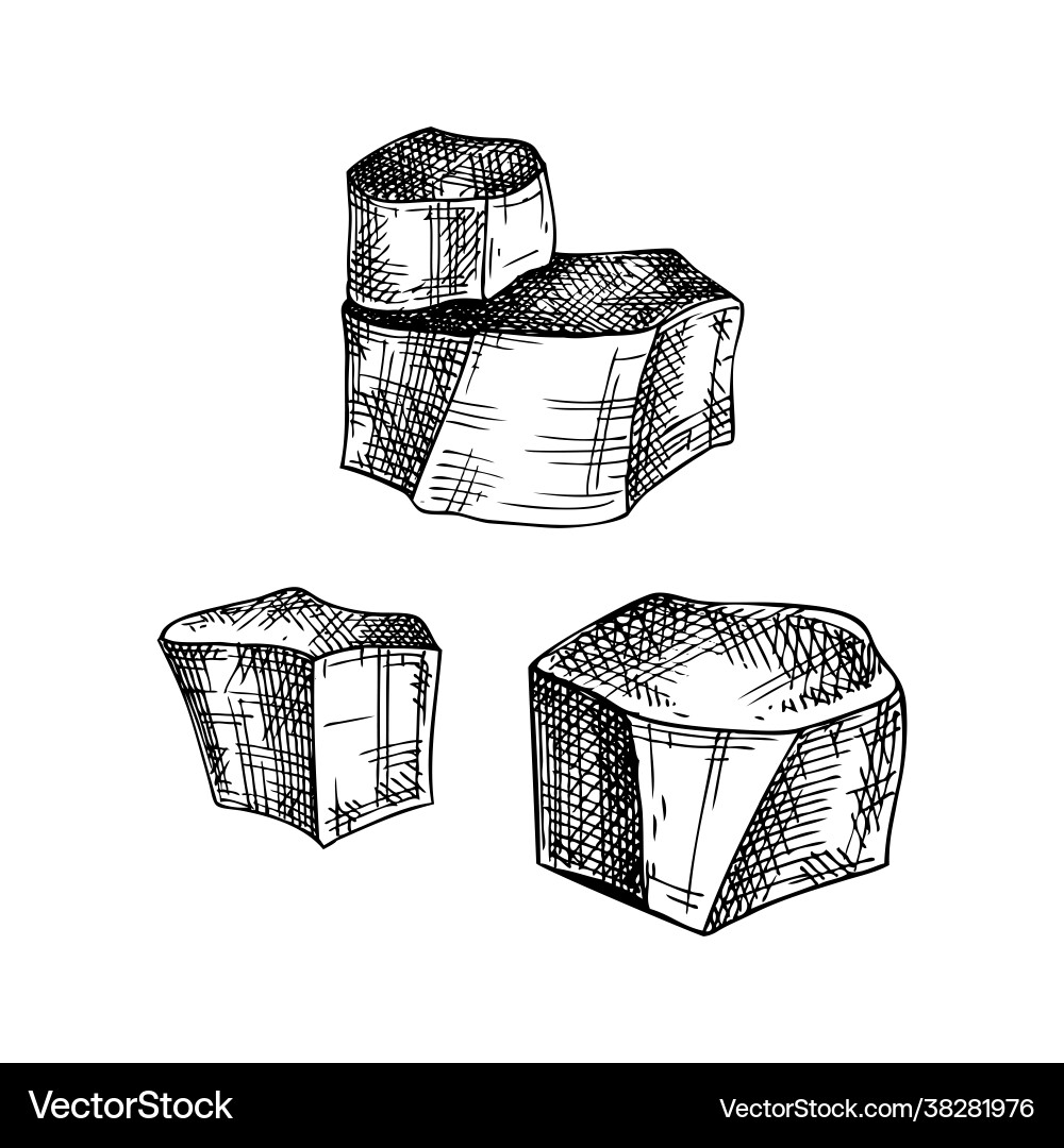 Hand-sketched aromatic soap ingredients vector image