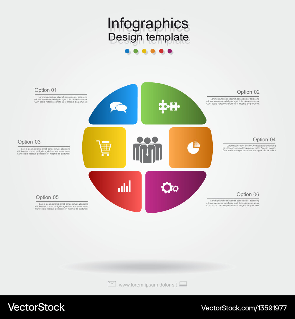 Infographic Template - Data Visualization vector image