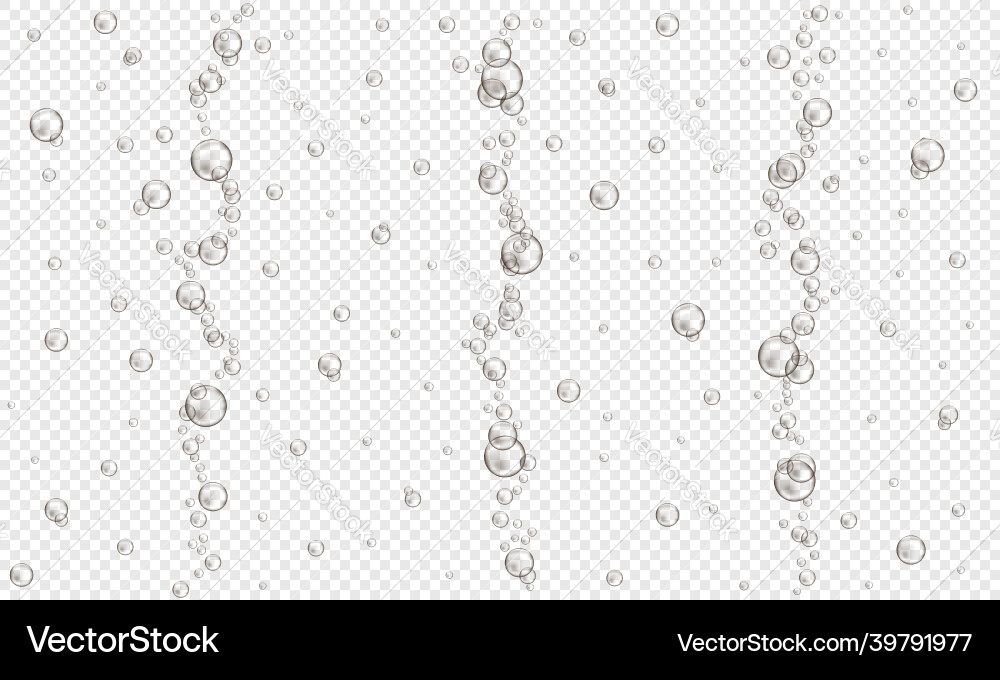 Oxygen bubbles on transparent background fizzy Oxygen bubbles on transparent background fizzy vector image