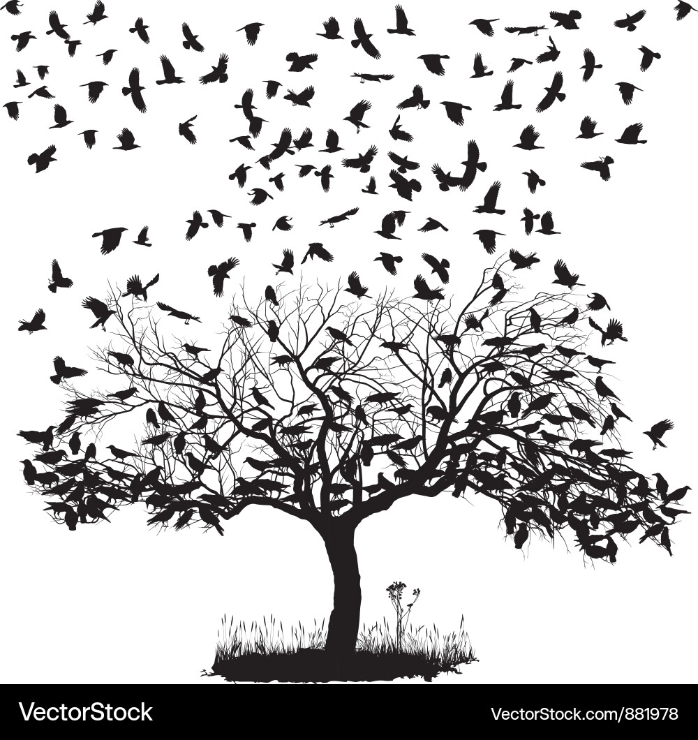 Black Crows in a Tree vector image