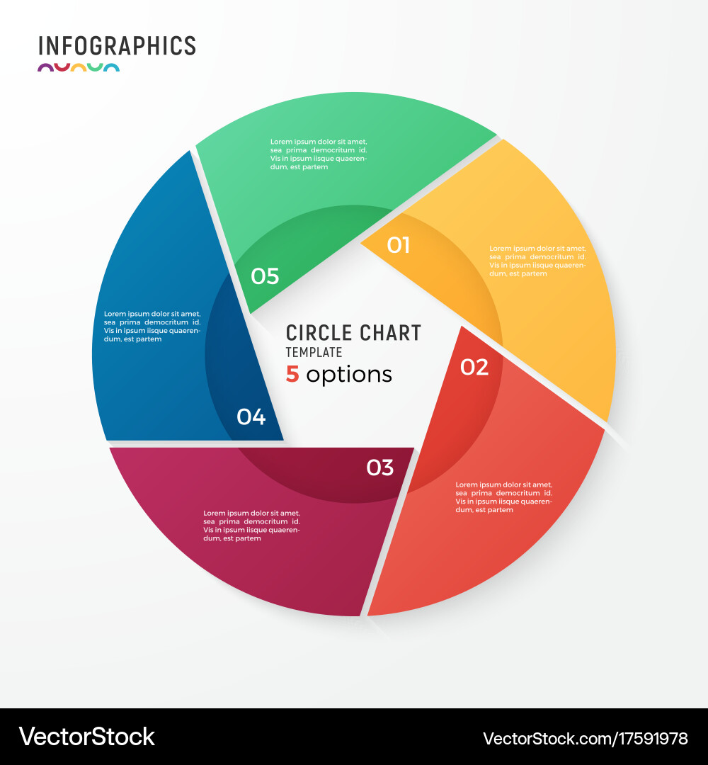 Circle chart infographic template for data vector image