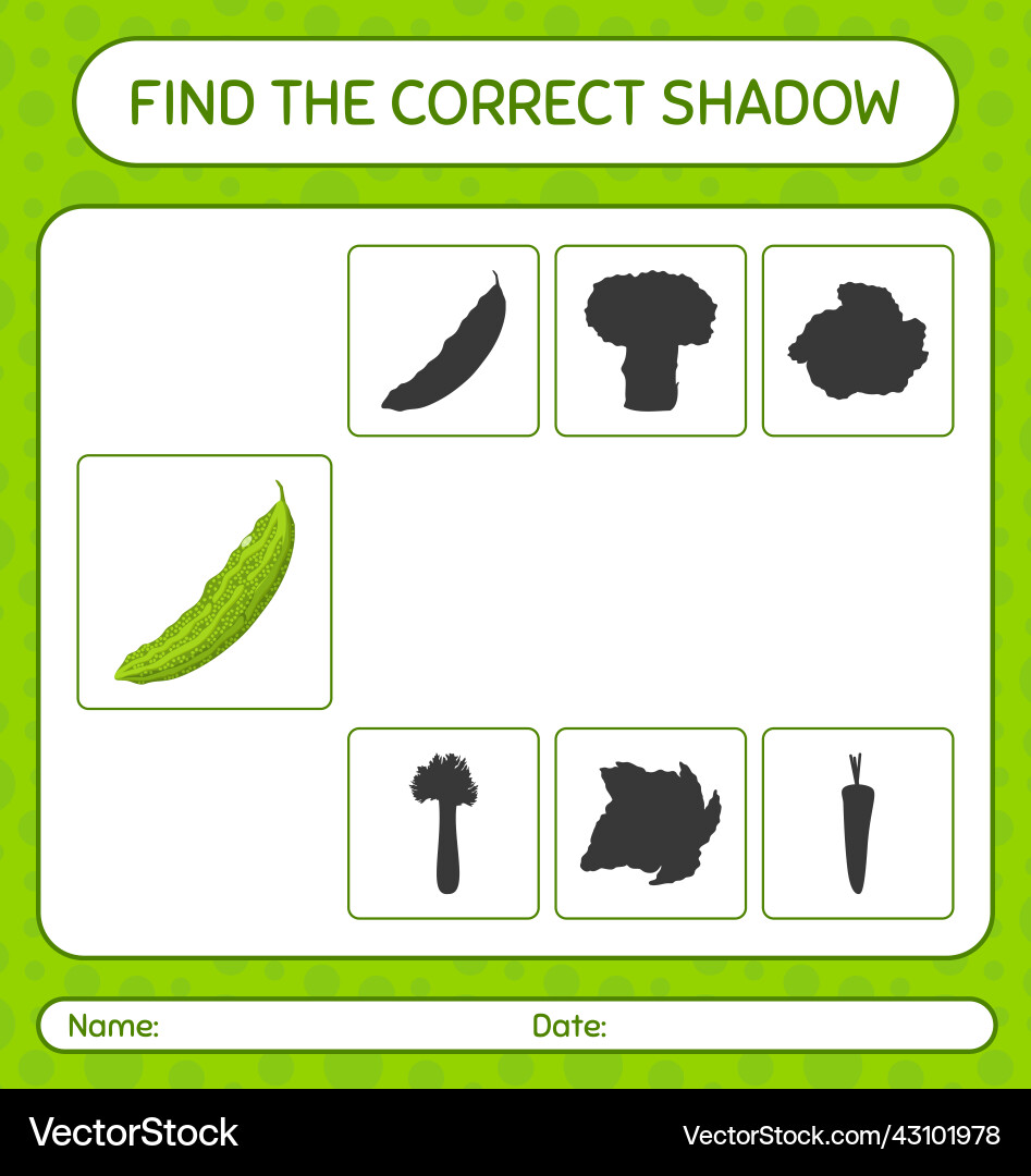 Find the correct shadows game with bitter melon Find the correct shadows game with bitter melon Vector Image