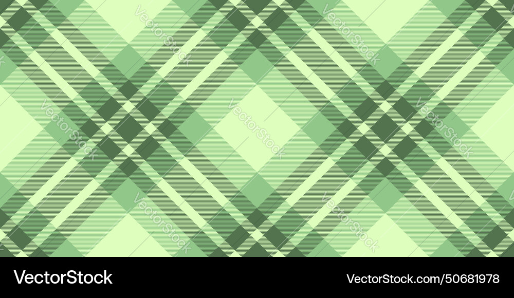 Frame check texture goose fabric pattern Frame check texture goose fabric pattern vector image